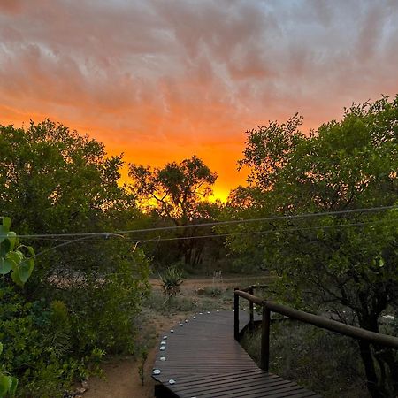 Out In Africa Wildlife Lodge ฮามมันสคราล ภายนอก รูปภาพ
