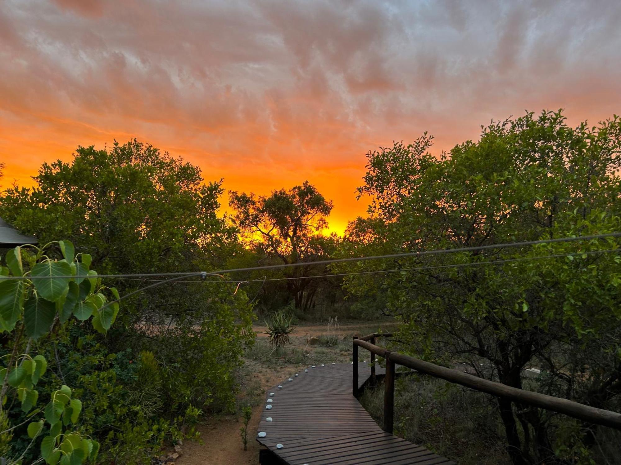 Out In Africa Wildlife Lodge ฮามมันสคราล ภายนอก รูปภาพ